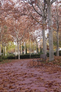 Parque de Madrid
